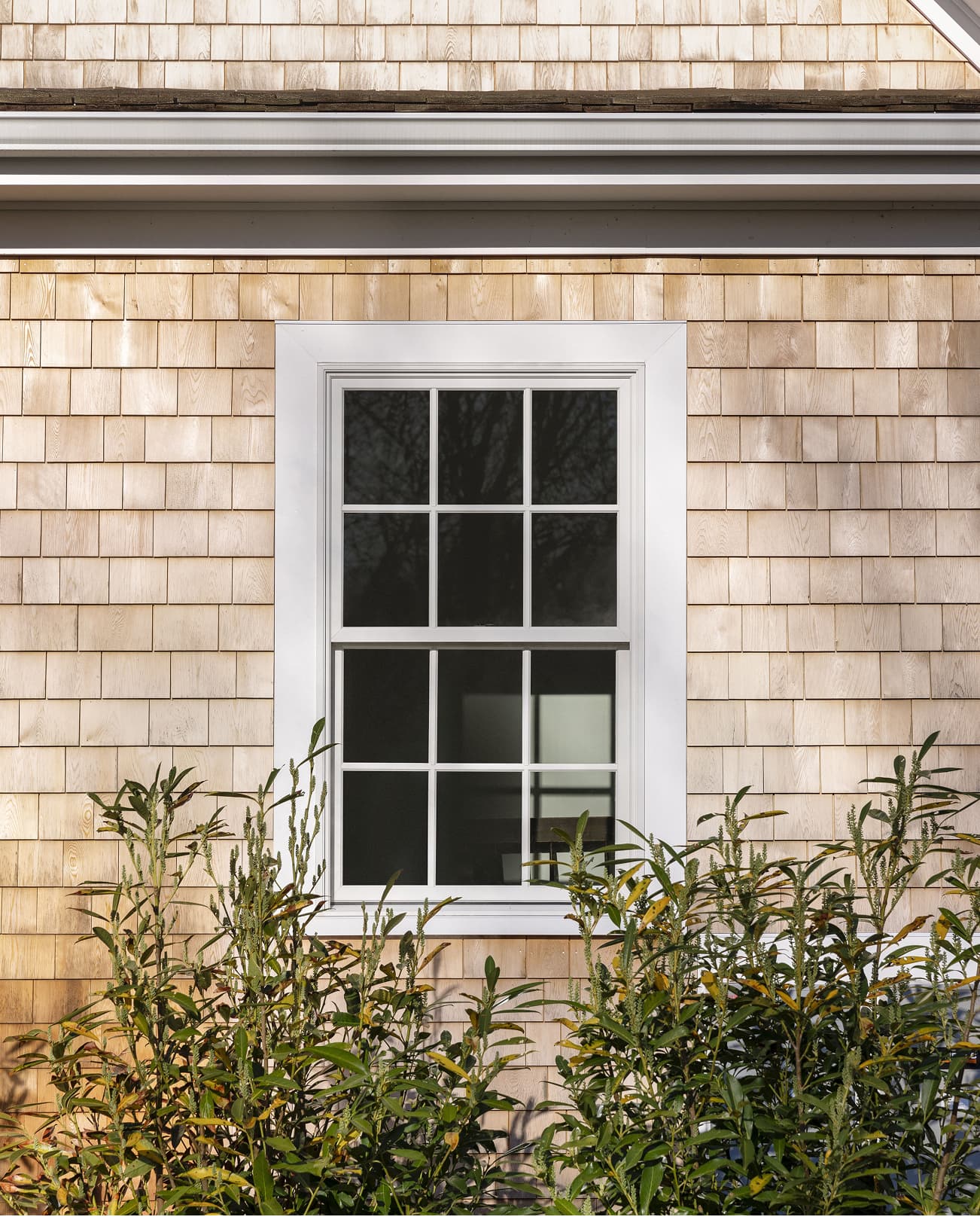 Shaker cedar siding home exterior with a white Marvin Elevate Double Hung window with divided lites.